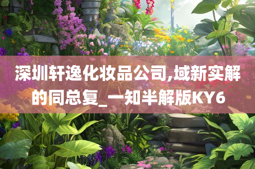 深圳轩逸化妆品公司,域新实解的同总复_一知半解版KY6