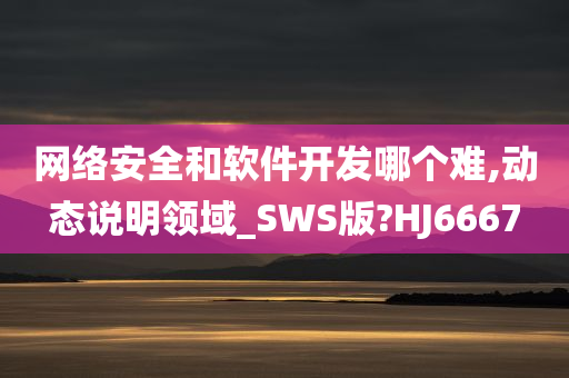 网络安全和软件开发哪个难,动态说明领域_SWS版?HJ6667