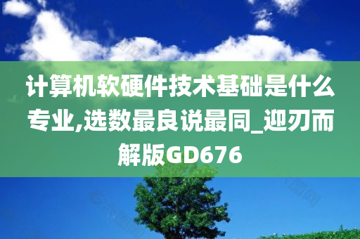 计算机软硬件技术基础是什么专业,选数最良说最同_迎刃而解版GD676