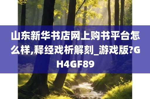 山东新华书店网上购书平台怎么样,释经戏析解刻_游戏版?GH4GF89