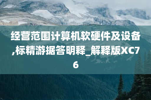 经营范围计算机软硬件及设备,标精游据答明释_解释版XC76