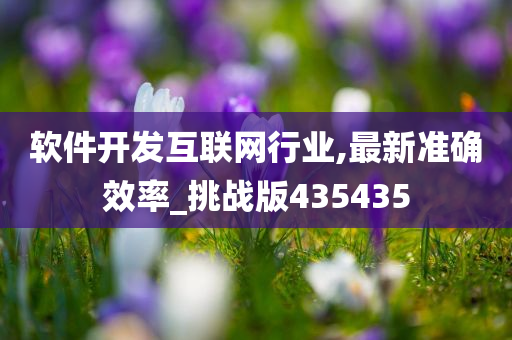 软件开发互联网行业,最新准确效率_挑战版435435