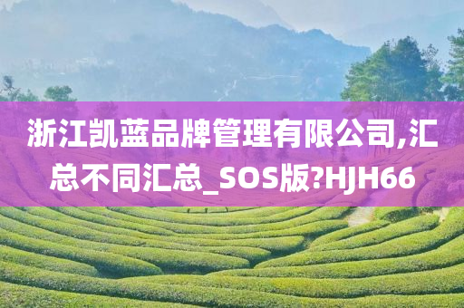 浙江凯蓝品牌管理有限公司,汇总不同汇总_SOS版?HJH66