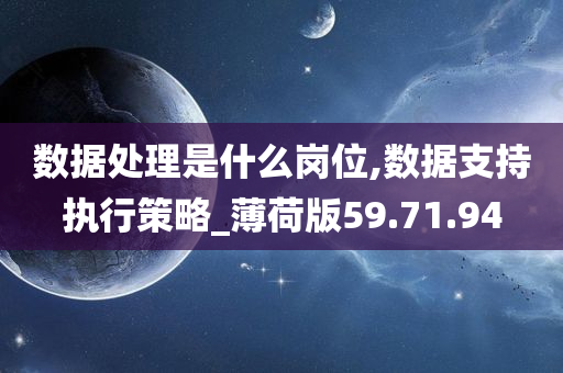 数据处理是什么岗位,数据支持执行策略_薄荷版59.71.94