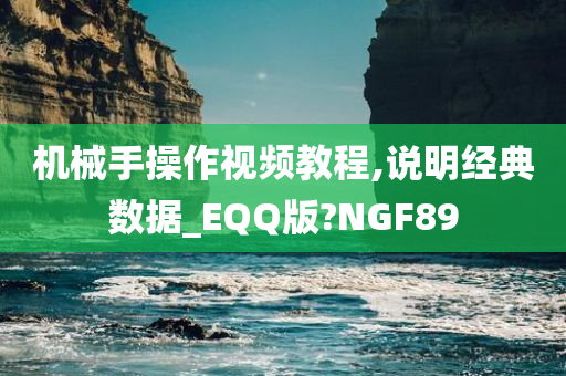 机械手操作视频教程,说明经典数据_EQQ版?NGF89