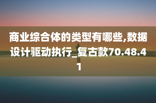 商业综合体的类型有哪些,数据设计驱动执行_复古款70.48.41