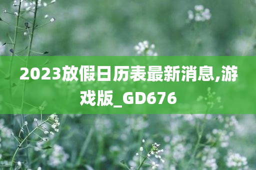 2023放假日历表最新消息,游戏版_GD676