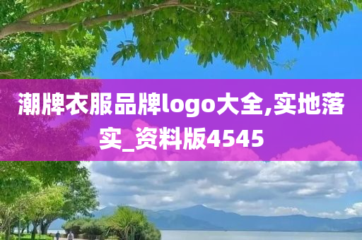 潮牌衣服品牌logo大全,实地落实_资料版4545