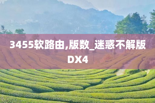 3455软路由,版数_迷惑不解版DX4