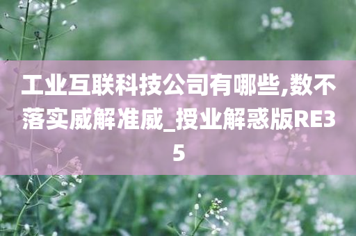 工业互联科技公司有哪些,数不落实威解准威_授业解惑版RE35