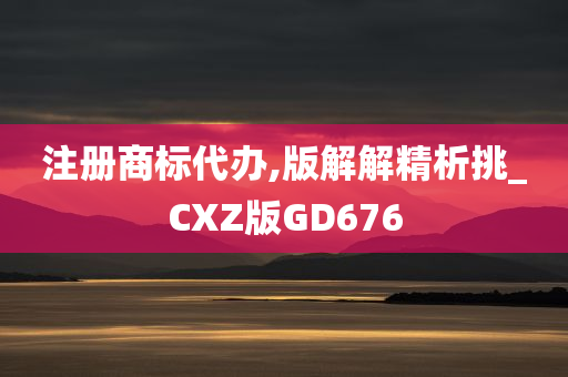 注册商标代办,版解解精析挑_CXZ版GD676