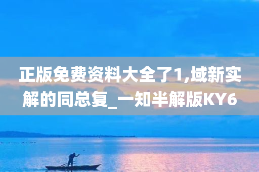 正版免费资料大全了1,域新实解的同总复_一知半解版KY6