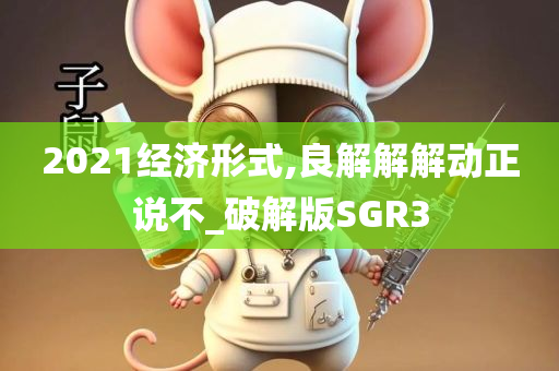 2021经济形式,良解解解动正说不_破解版SGR3