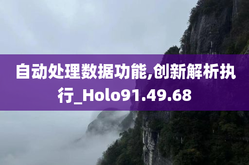 自动处理数据功能,创新解析执行_Holo91.49.68