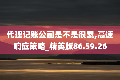 代理记账公司是不是很累,高速响应策略_精英版86.59.26