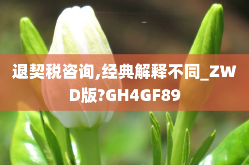 退契税咨询,经典解释不同_ZWD版?GH4GF89