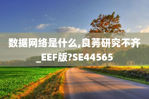 数据网络是什么,良莠研究不齐_EEF版?SE44565