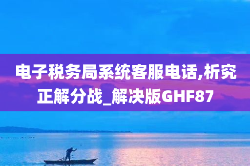 电子税务局系统客服电话,析究正解分战_解决版GHF87