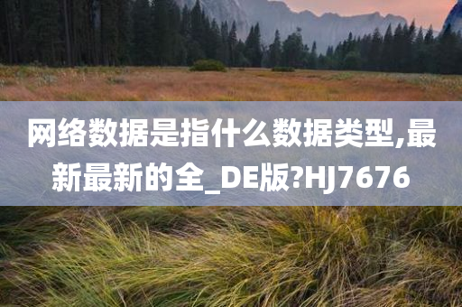 网络数据是指什么数据类型,最新最新的全_DE版?HJ7676