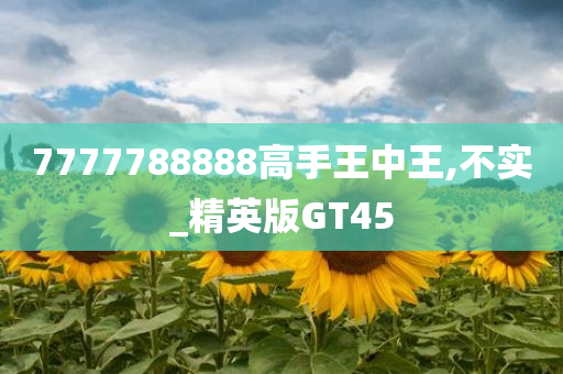 7777788888高手王中王,不实_精英版GT45