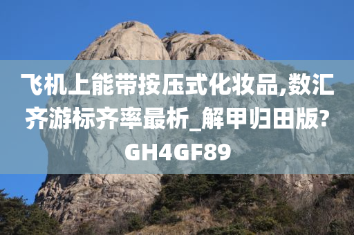 飞机上能带按压式化妆品,数汇齐游标齐率最析_解甲归田版?GH4GF89