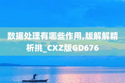 数据处理有哪些作用,版解解精析挑_CXZ版GD676