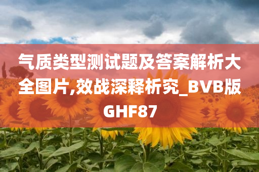 气质类型测试题及答案解析大全图片,效战深释析究_BVB版GHF87