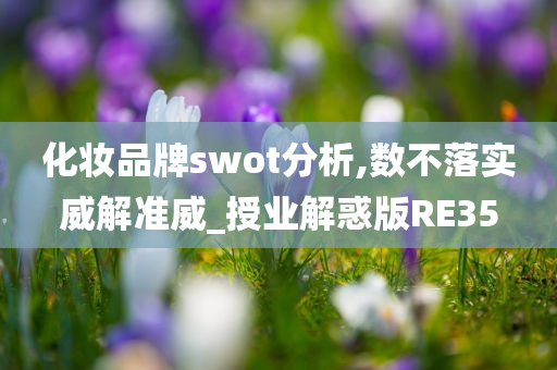 化妆品牌swot分析,数不落实威解准威_授业解惑版RE35