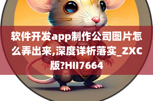 软件开发app制作公司图片怎么弄出来,深度详析落实_ZXC版?HII7664