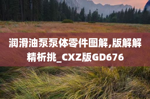 润滑油泵泵体零件图解,版解解精析挑_CXZ版GD676