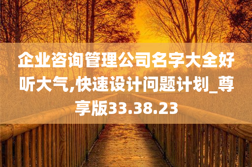 企业咨询管理公司名字大全好听大气,快速设计问题计划_尊享版33.38.23