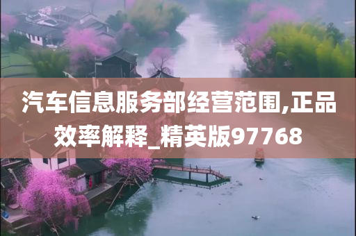 汽车信息服务部经营范围,正品效率解释_精英版97768