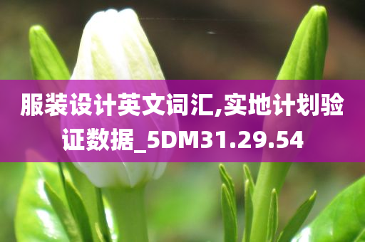 服装设计英文词汇,实地计划验证数据_5DM31.29.54