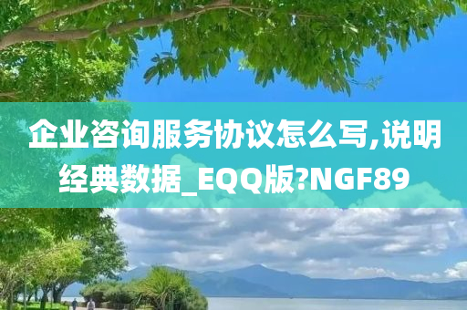 企业咨询服务协议怎么写,说明经典数据_EQQ版?NGF89