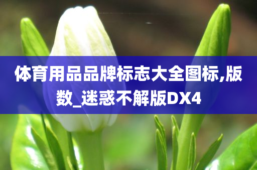 体育用品品牌标志大全图标,版数_迷惑不解版DX4