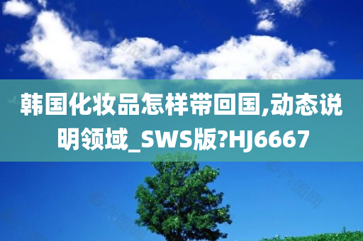 韩国化妆品怎样带回国,动态说明领域_SWS版?HJ6667