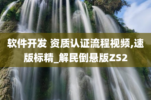 软件开发 资质认证流程视频,速版标精_解民倒悬版ZS2