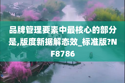 品牌管理要素中最核心的部分是,版度新据解态效_标准版?NF8786