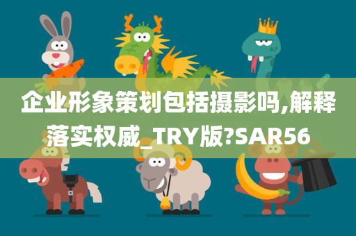 企业形象策划包括摄影吗,解释落实权威_TRY版?SAR56