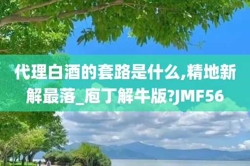 代理白酒的套路是什么,精地新解最落_庖丁解牛版?JMF56