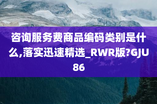 咨询服务费商品编码类别是什么,落实迅速精选_RWR版?GJU86