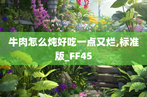 牛肉怎么炖好吃一点又烂,标准版_FF45