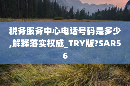 税务服务中心电话号码是多少,解释落实权威_TRY版?SAR56