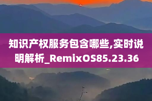 知识产权服务包含哪些,实时说明解析_RemixOS85.23.36