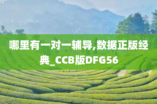 哪里有一对一辅导,数据正版经典_CCB版DFG56