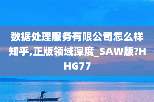 数据处理服务有限公司怎么样知乎,正版领域深度_SAW版?HHG77