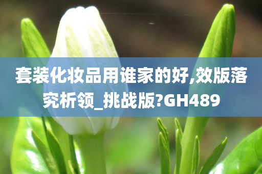 套装化妆品用谁家的好,效版落究析领_挑战版?GH489