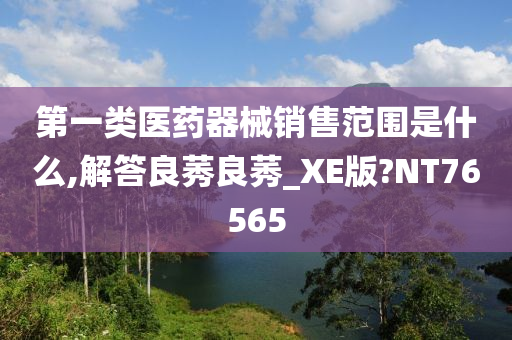 第一类医药器械销售范围是什么,解答良莠良莠_XE版?NT76565