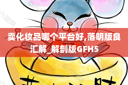 卖化妆品哪个平台好,落明版良汇解_解剖版GFH5