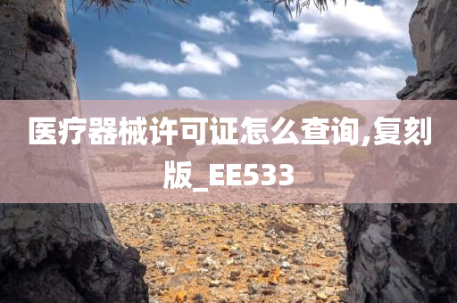 医疗器械许可证怎么查询,复刻版_EE533